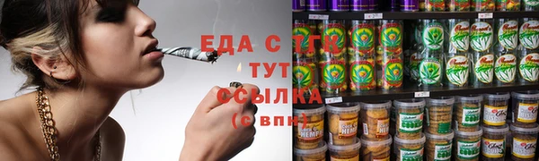 шишки Богородицк