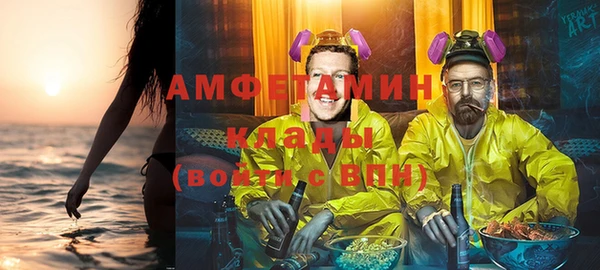 дмт Богданович