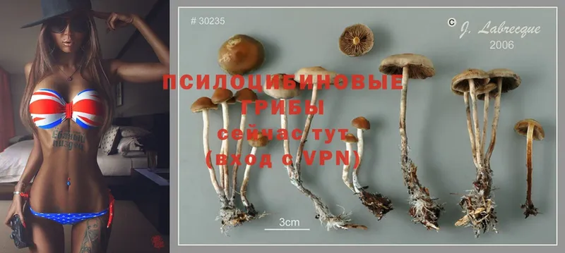 Галлюциногенные грибы MAGIC MUSHROOMS  KRAKEN   Вилючинск 